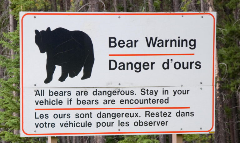 A bilingual sign in English and French with a silhouette of a bear reads: "Bear Warning. All bears are dangerous. Stay in your vehicle if bears are encountered." It is placed in front of a background of trees.